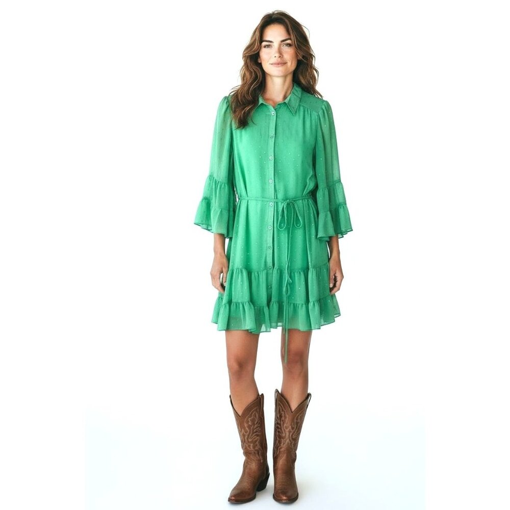 Chiffon Green Silver Accents Dress with Tie Waist, Size 12